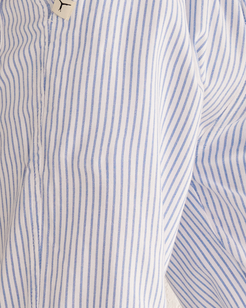 Blue Striped Trousers